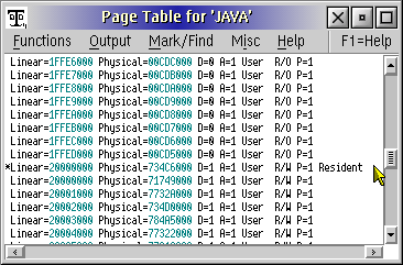 Page table for Java virtual memory usage